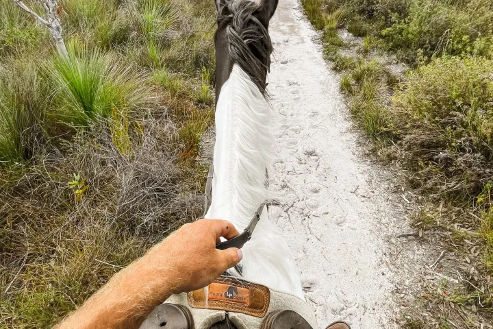 a man enjoying a horse ride in Noosa