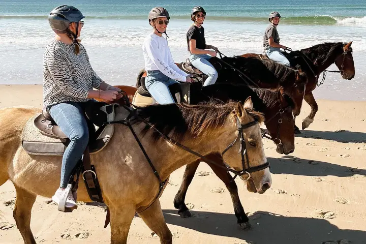 a group of people riding on the back of a horse on Noosa beach