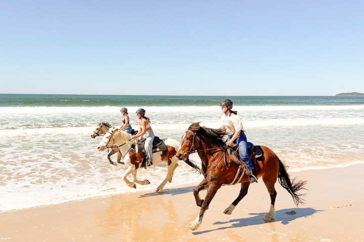 horse trail riding in Sunshine Coast
