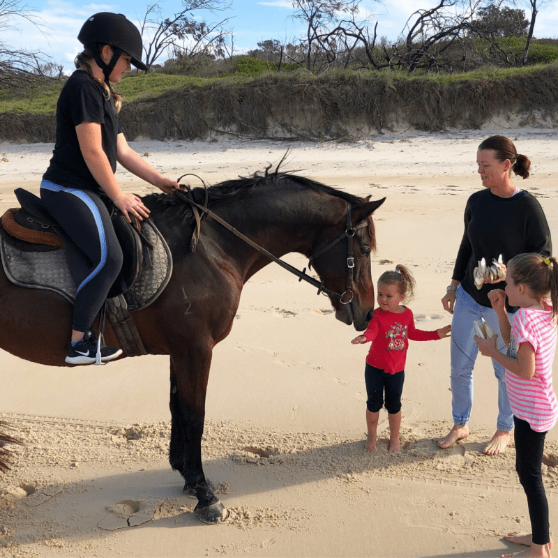 monty a person riding a horse on a beach
