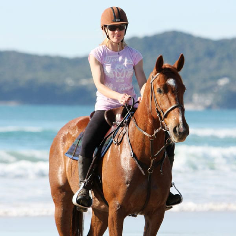 scout a man riding a horse in a body of water